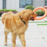 Juguetes Para Perros Disco Volador Interactivo Anti-Mordedor Atractivo De Anillo De Entrenamiento Suministros Para Masticación Agresiva - details 3