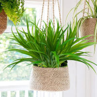 1 Pc De Hierba Artificial De Primavera Con 14 Hojas Para Decoración De Hogar Ventanas Bonsái Fiesta Navideña Bodas Accesorios De Arco Al Aire Libre - details 0