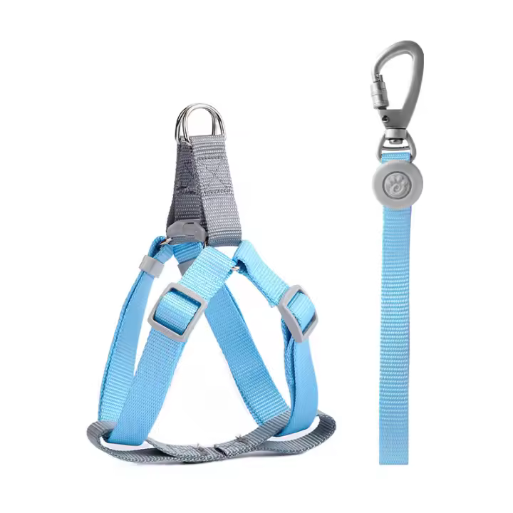 Correa Y Arnes Ajustable De Nylon Para Perros Pequeños Y Medianos Preventa De Escape Macaron Arnes Y Correa Para Caminar - 1