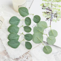 50Pcs Hojas De Rosas Y Eucalipto De Seda Para Decoración De Boda Navidad Y Regalos DIY Arreglo Floral Artificial Verde Para El Hogar - details 12