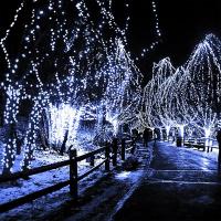 Luz De Fairy Solar De 32M/42M Para Jardín Exterior Decoración Navideña Con 8 Modos Timable Hilo De Luces De Jardín Festivo - details 10
