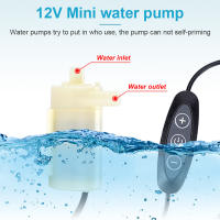 Bomba De Agua Solar Para Bebida Y Fuente 10W Individual Cristal Solar Bomba De Agua Para Baño De Pájaros Y Riego De Piscina - details 3