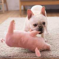 Juguete De Peluche Para Perros Y Gatos Almohadilla De Sueño Companion Mordedor De Algodón Para Pequeños Perros Bulldog Francés Divertido Juguete Para Moler Y Jugar - details 7