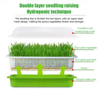 Bandeja De Germinación Para Semillas Doble Capa Arco Sin Suelo Sistema De Cultivo Hidroponía Macetas Para Plantas Accesorios De Jardinería - details 2