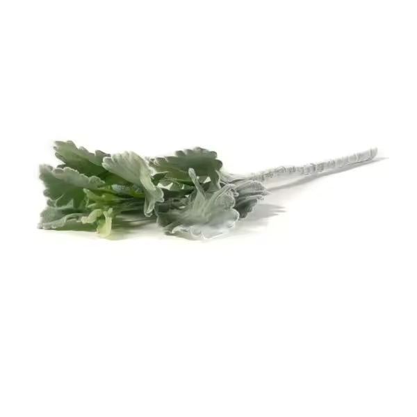 TAPIDECOR - Flor Artificial Hojas de Planta Rama Verde - Decoración Hogar - 1