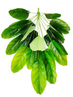 Planta Artificial De Banano Verde Grande 86-120cm Decoración Para Interior Y Exterior Ideal Para Bodas Y Jardines - details 30