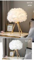 Lámpara De Mesa Para Dormitorio Con Plumas De Ganso Luz Decorativa Para Sala De Estar Y Café Romántica Para Boda Y Navidad Fuente De Iluminación LED Sin Baterías Fuente De Alimentación AC - details 8