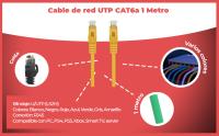 Banner - Cable de red UTP CAT6a