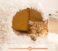 Cama De Gato Cómoda Y Caliente De Peluche Suave Para Pequeños Y Medianos Perros Y Gatos Hogar De Mascotas Adecuada Para Descanso Profundo - details 3