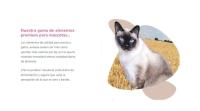 PILANO Cat 3 KG, Elaborado a Base de Ingredientes Naturales, Apto 100% para Dieta Veterinaria y Libre de Productos transgénicos. - details 3