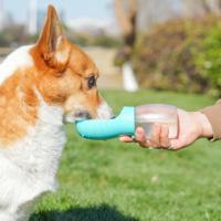 Botella Portátil Para Perros Y Gatos Pequeños Medianos Y Grandes Con Cuencos De Beber Para Caminar Y Viajar a La Montaña Resistente Al Desbordamiento Y Durable Con Textura Frosted - details 13