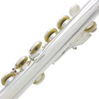 FLUTE SLADE De Plata Con 16 Agujeros Clave Cerrada Echa El E Teclado Para Principiantes Con Kit De Limpieza Estuche Guantes Y Varillas De Ajuste - details 7