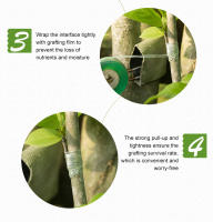 Cinta De Reparación De Jardín Parafilm Barriera De Humedad Para Plantas Arbolado De Fruta Y Semillero FATCOOL Pruner Bypass Plástico Recubierto - details 8
