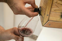 Vino Tinto Joven en bag in box 5 litros - Vinoenbox.com - Urizarna - details 1