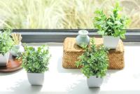 4pcs Bonsái De Simulación Plantas Verdes Artificiales En Macetas Para Decoración De Hogar Dormitorio Sala De Estar Baño Estilo Rústico Farmhouse - details 1