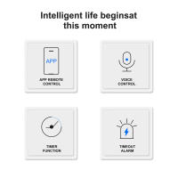 Controlador De Puerta De Garaje Inteligente Tuya WiFi Compatible Con Alexa Y Google Home Para Control Remoto Por APP Y Voz - details 1