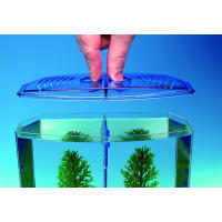 Caja De Acuario Para Pez Grande Con Dos Compartimentos Ecológica Plástico Isolación Para Cría Y Aislamiento Mini Acuario - details 4