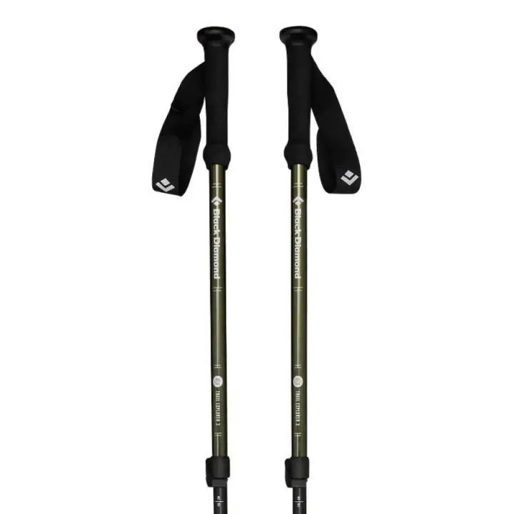 Black Diamond Bastones Explorer 3 Plateado Unisex - 1