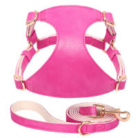 Juego De Arnés Y Correa Para Perros De Cuero PU Durable Arnes Suave Para Pequeños Y Medianos Perros Chihuahua Pug Con Guía De Caminar - details 5
