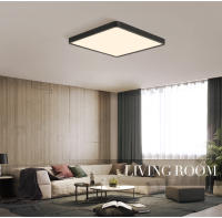 Lámpara De Techo LED Ultrafina 2.4cm MARPOU Con Diseño De Madera Para Sala De Estar Dormitorio Y Cocina 220V 110V Luz Diaria Moderna - details 16