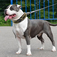Collar De Cuero Genuino Para Perros Grandes Con Espinas Y Estrellas Fuerte Ajustable Para Pitbull Bulldog Boxer Resistente Todas Las Estaciones Tamaños L/XL Colores Rojo/Marrón/Negro - details 14