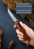 Cuchillo Plegable Damasco Mini Para Exteriores Cuchillo De Bolsillo Portátil Acero Inoxidable M390 Cuchillo De Campo Para Frutas - details 2