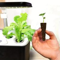 Kit De Iniciador De Plántulas 30/90Pcs Esponja Para Cultivo En Suelo Hidroponía Sistema De Jardín Interior Suplementario De Crecimiento - details 2