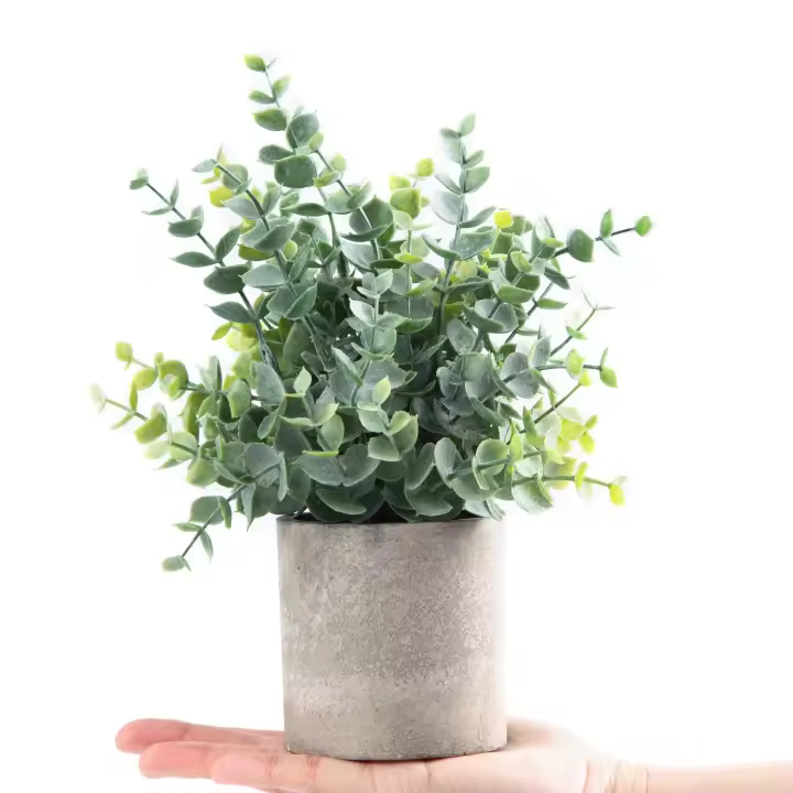 1 Pack Plantas Artificiales Pequeñas Eucalipto En Maceta Para Decoración De Escritorio Baño Habitación Estilo Rústico Mesa De Café - 1