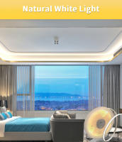 Tira LED COB Regulable 24V 12V 8mm 320LEDs/m Luz Flexible Para Decoración De Habitaciones 3000K 4000K 6000K 1m 5m - details 10