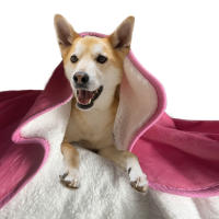 Manta Para Perros Impermeable Bucephalus Reversible Suave Y Lavable Protección Para Sofá Manta Para Gatos Y Perros Con Patrón De Animales - details 15