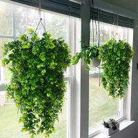 Vine De Simulación Colgante Para Pared Realista No Desvanecida Bellas Plantas Imitación Para Decoración De Oficina Y Hogar - details 1