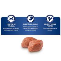 Brekkies, Delicious Adult Buey y Verduras, 3kg, 7,25, Pienso para Perros con Buey, Pollo, Verduras y Cereales - details 1