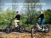 ENGWE Bicicleta Electrica para Adultos, 20 * 4.0 Fat Tire Step-Through E-Bike para Mujeres - Bateria 48V 13A - 7-Velocidades - Amortiguador Dual - para Desplazamientos y Excursiones L20 - details 6