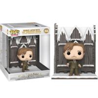 Funko LUPIN CASA GRITOS SHREKING SHACK 156 FUNKO HARRY POTTER DELUXE POP FUNKO HOGSMEADE - details 0