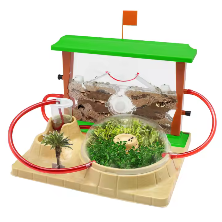Cefatoys HORMICEFA PLUS - Kit de Hormigas para Observar y Recrear el Entorno Natural - 1