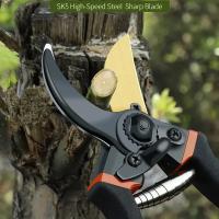 Tijeras De Podar Profesionales De 10 Pulgadas Con Hoja De Acero SK5 Para Bonsái Árbores Frutales Flores Ramas Herramienta De Podar - details 2