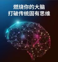 Rompecabezas Geométrico Desafiante Para Adultos Y Niños Juguete De Desafío Cerebral Con Formas De Figura Juego De Razonamiento Inteligente - details 0