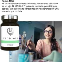 Rhodiola Rosea Pura | 60 Cápsulas de 300 mg Concentración, Memoria, Energía, Rendimiento Mental, Extractos 100% Naturales y Sin Aditivos, Mejora el Ánimo y Reduce la Fatiga, 3% Rosavinas (Rhodiola | BestMe Lab) - details 2
