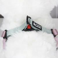 Correa Ajustable Para Perros De Nylon Transpirable Alta Calidad Con Correa Antipérdida Para Caminar Y Animales - details 5