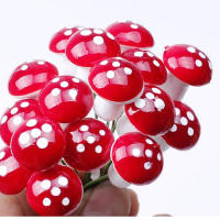 10Pcs Mini Set De Hongos Artificiales 2cm Para Jardín Fae Tiraditos De Moluscos Y Termitas Decoración De Terrario Y Artesanía - details 0