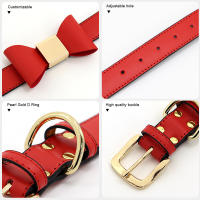 Collar De Cuero PU Para Perros Con Corbata Accesorio Lindo Para Pequeños Y Medianos Perros Y Gatos Collar Elegante Para Mascotas - details 5