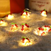 Cadena De Luces Navideñas 2M Con 20 LEDs De Santa Claus Y Navajas De Nieve Encendidas Por Batería Para Fiestas De Año Nuevo Y Bodas Decoración De Arco Iris De Hadas - details 10