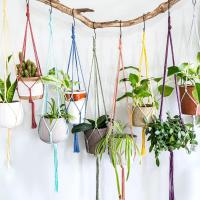 Cordón De Algodón Para Macramé 4mm Natural Para Colgadores De Plantas Paredes Manualidades Regalos Y Decoraciones De Boda 100m - details 7