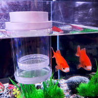 Caja De Cría De Peces Flotante En Plástico Acuario Incubador De Alimentos Para Peces Hatchery Accesorios De Acuario - details 20