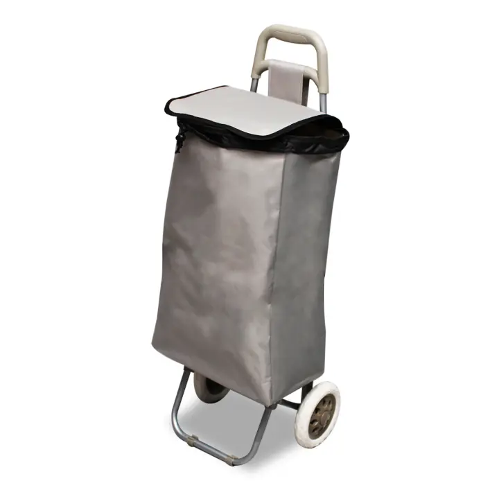 GREATOYAR Carro de Compra con Gran Capacidad, Carro de Compra con 2 Ruedas, Carrito de Compra para Mayores, Soporte Metálico, Alta Capacidad de Almacenamiento, Capacidad 40 litros, 90x30x35cm, Negro/Azul/Gris - 1