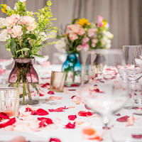 3000pcs Pétalos de Rosa Artificiales, Pétalos de Flores de Seda Artificial, Pétalos Rosas Rojas San Valentín, Pétalos de Rosas Rojas para Bodas, Pedidas, Fiestas, Decoración Romántica, Bodas, Fiesta, Cumpleaños, Proponer, Valentín Decoración. Distrilocu - details 0