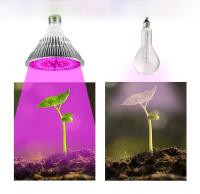 Bulbo De Cultivo De Planta De Espectro Completo 150W E27 Para Crecimiento Indoor De Hidroponia Frutas Verduras Suculentas Semillas En Invernadero - details 7