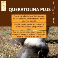 QUERATOLINA PLUS, cuidado de los cascos de los caballos de Laboratorios Pino. Varios formatos - details 1