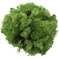 Decorativo De Moss Preservado Ligero Arte Artificial De Moss Verde Eterno Para Decoración De Paredes En Casa Y Fiestas - details 9