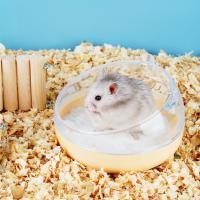 Baño De Arena Para Rata Y Conejo Casa De Baño De Caja Para Animales Pequeños Como Hamsters Y Ratones Accesorio De Jaula - details 9